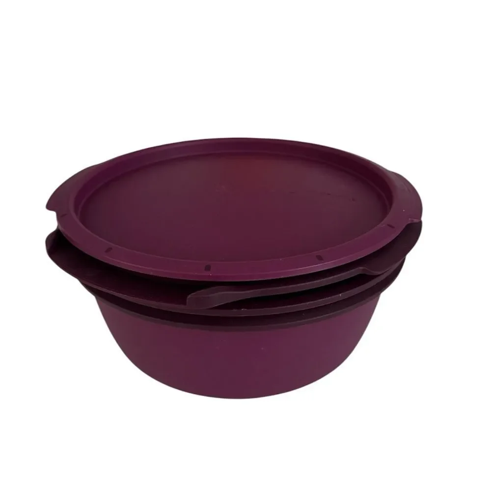 Tupperware Purple 4 Piece Smart Steamer EUC